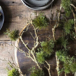 Real Touch Moss Branch