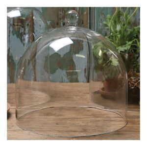 Large Glass Cake Dome Cloche