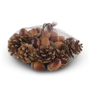 Bag of 30 Acorns and Pinecones