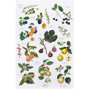 Fruit Cotton Tea Towel - Made in Europe