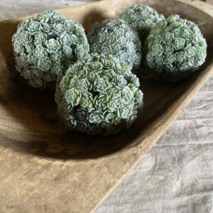 4" Real Touch Succulent Ball