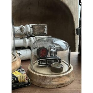 Small Cloche with Wooden Base