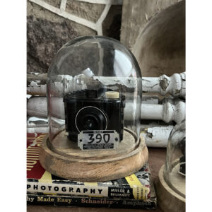 Cloche with Wooden Base