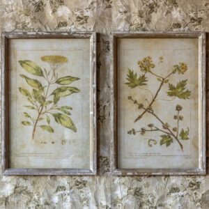 Set of 2 Framed Botanical Prints - More Coming Soon!