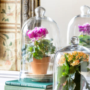 Tall Bell Jar Cloche