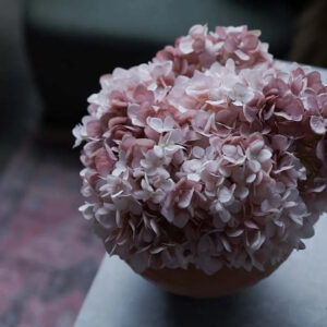 Blush Hydrangea Stem