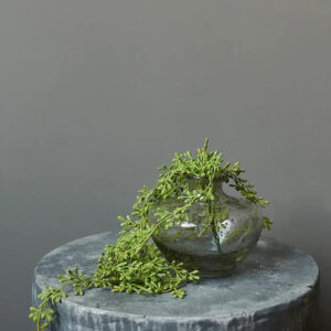 Small Parilla Bottle Glass Vase