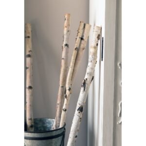 Birch Pole