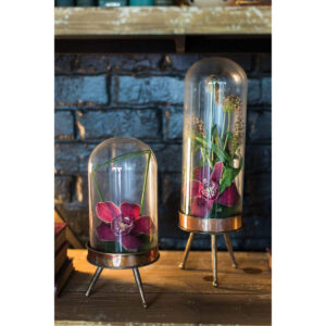 Observatory Cloche with Stand - Available in 2 Sizes