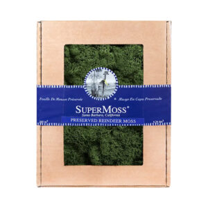 Reindeer Moss