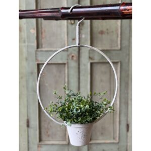 Hanging Halo with Planter