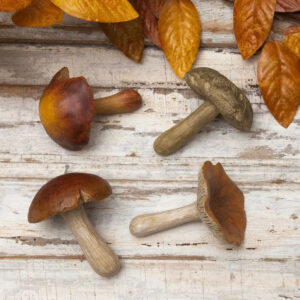 Set of 4 Faux Wild Mushrooms