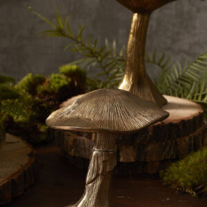 The Little Gold Mushroom