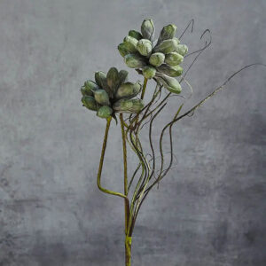 37" Green Thistle Stem