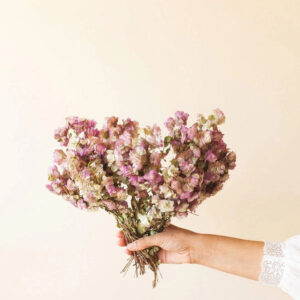 Kent Beauty Dried Oregano Blooms