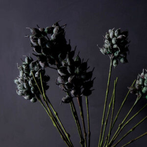 42.5" Plum Thistle Stem