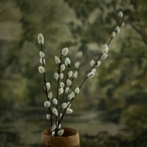 31" Pussy Willow Stem