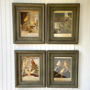 Set of 4 Vintage Style Canary Prints