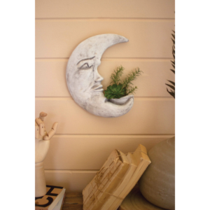 The Moon Planter