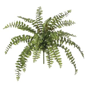 Large Boston Fern Spray