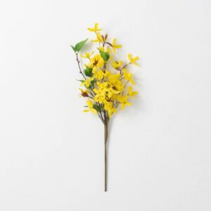 19" Forsythia Spray