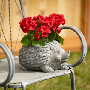 The Hedgehog Planter