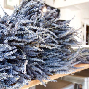 French Dried Lavender Bundle