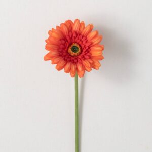 Orange Gerber Daisy Stem
