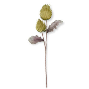 36" Double Protea Stem