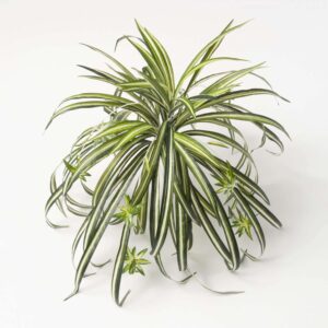 24" Spider Plant Pick
