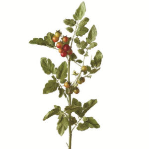 36" Faux Tomato Stem with Blossoms