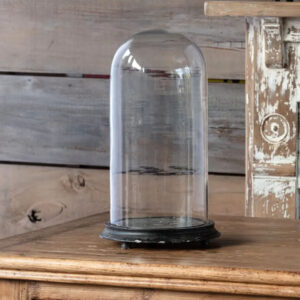 Display Dome Cloche with Black Weathered Base - 17"