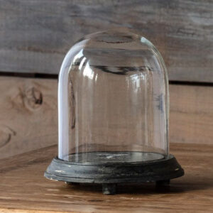 Display Dome Cloche with Black Weathered Base - 8"