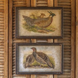 Set of 2 Framed Pheasant Prints