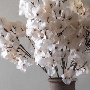 34" Bougainvillea Blush Stem