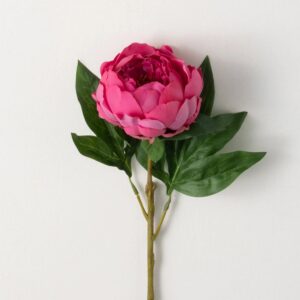 23" Deep Pink Peony Stem