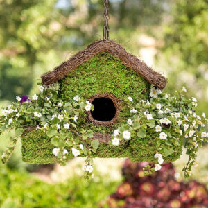 Plantable Moss Birdhouse