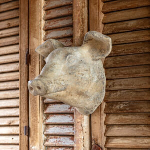 Decorative Weathered Pig's Head