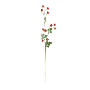 31" Wild Raspberry Stem