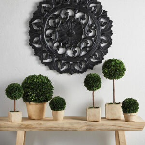 Preserved Boxwood Topiary - Choose Your Size