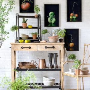 Set of 4 Framed Tomato Prints