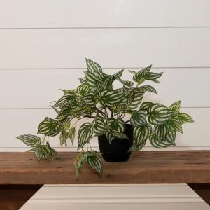 Faux Potted Watermelon Pilea Plant