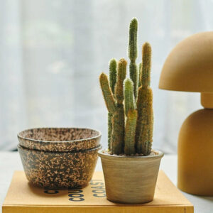 Real Touch Cereus Cactus in Pot