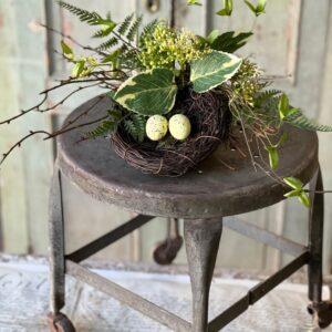 Unfurled Fronds Nest