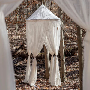 The Kings Court Canopy